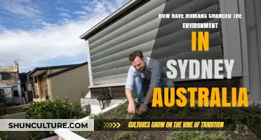Sydney's Environmental Transformation: Human Impact on Nature and Urbanization