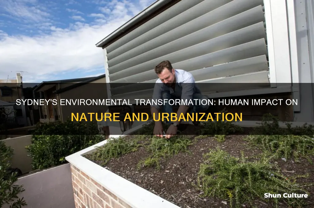 how have humans changed the environment in sydney australia