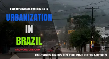 Human Impact on Brazil's Urbanization: Causes and Consequences