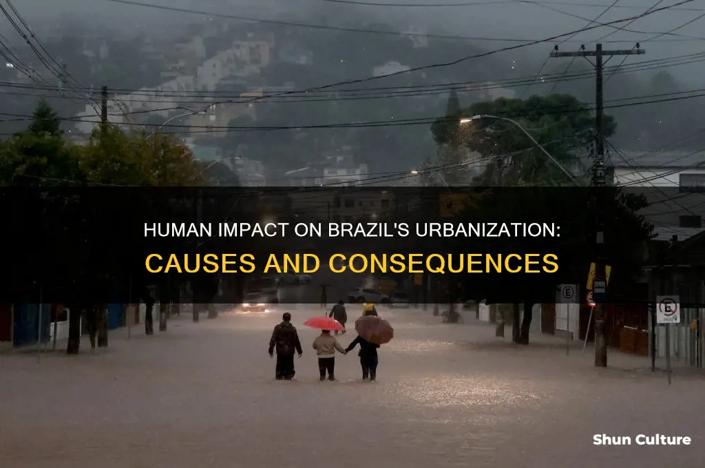 how have humans contributed to urbanization in brazil