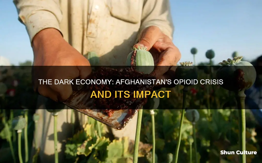 how have opioids affected afghanistan