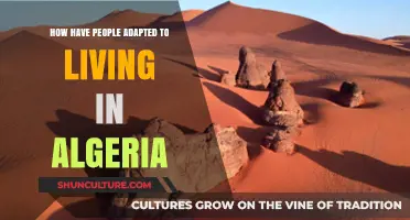 Adapting to Algeria: Cultural Resilience and Daily Life Strategies