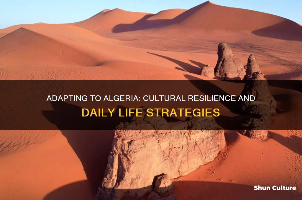 how have people adapted to living in algeria