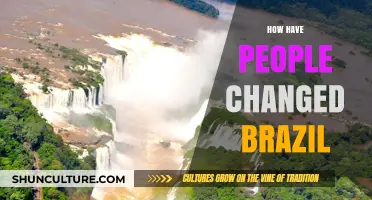 Cultural Shifts: How People Have Transformed Brazil's Identity and Landscape