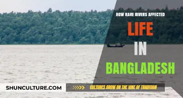 Rivers' Lifeline: Shaping Bangladesh's Culture, Economy, and Daily Life