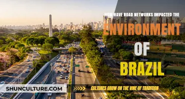 Brazil's Road Networks: Environmental Impacts and Ecosystem Changes Explored