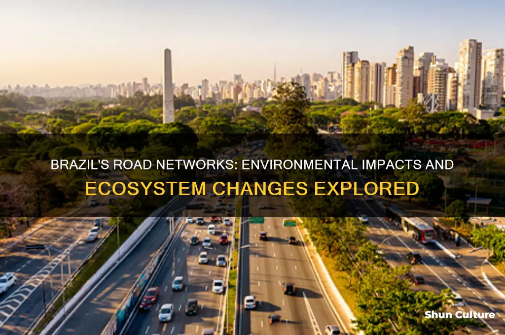 how have road networks impacted the environment of brazil
