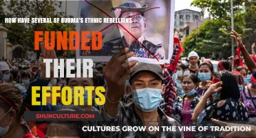 Insurgency Economics: Funding Burma's Ethnic Rebellions