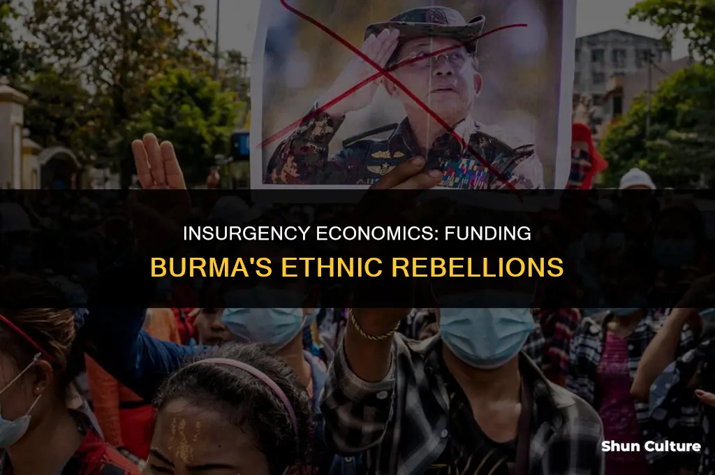 how have several of burma