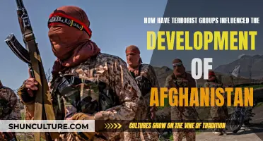 Afghanistan's Development in the Shadow of Terrorist Groups: Understanding the Impact