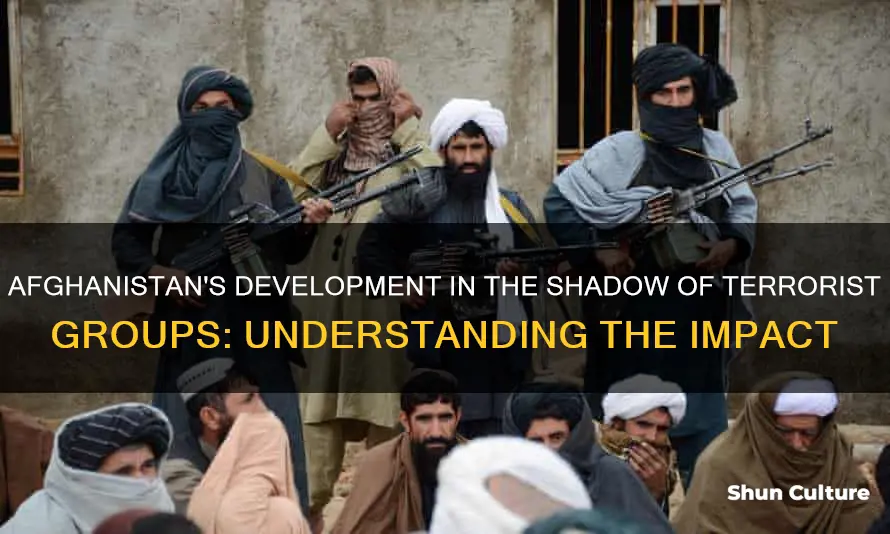 how have terrorist groups influenced the development of afghanistan