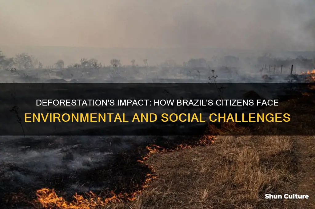 how have the citizens of brazil been affected by deforestation