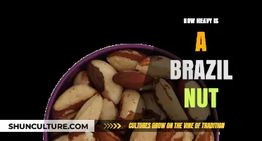 Unveiling the Surprising Weight of a Single Brazil Nut
