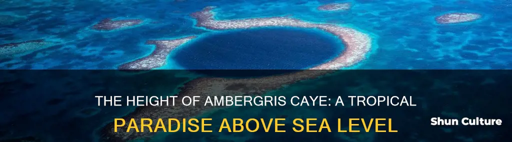 how high above sea level is ambergis caye belize