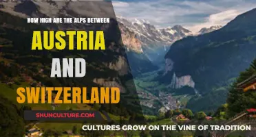 The Majestic Alps: Exploring Heights Between Austria and Switzerland