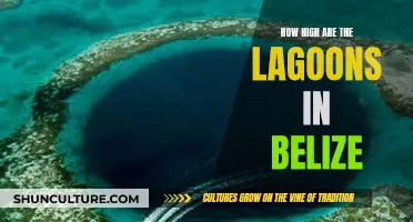 The Mysterious Heights of Belize's Lagoon Waters