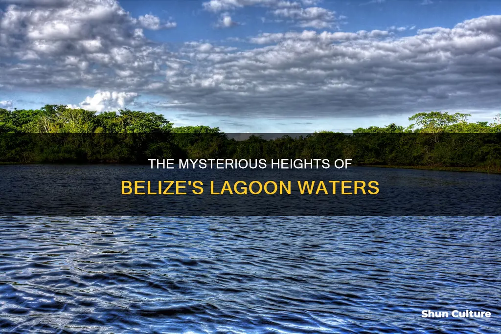 how high are the lagoons in belize