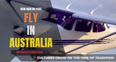 The High-Flying Adventures of Australian Flies