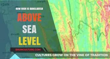 Exploring Bangladesh's Elevation: How High Above Sea Level Lies the Nation?