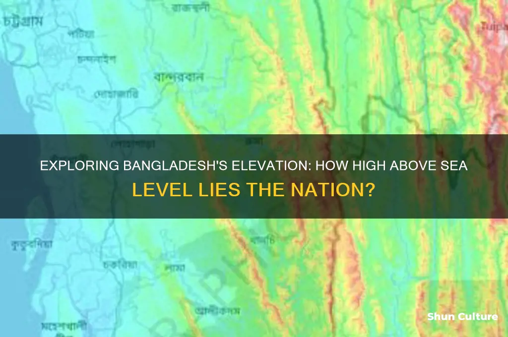 how high is bangladesh above sea level