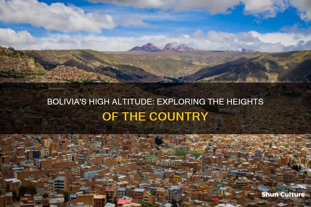 how high is bolivia