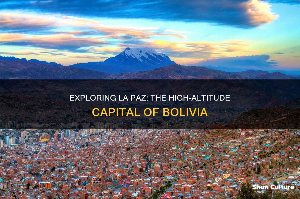 how high is bolivia