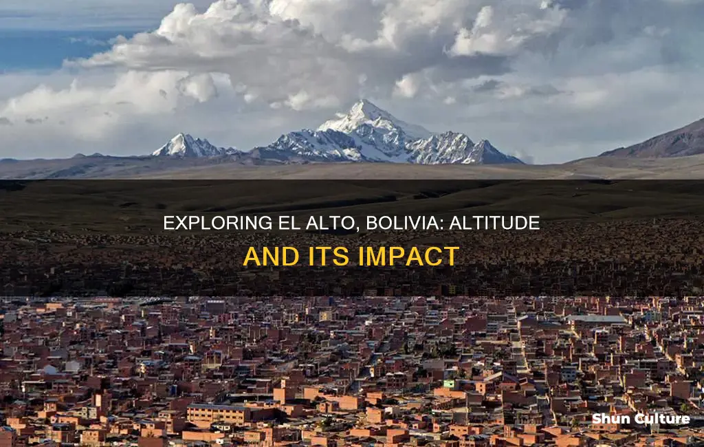 how high is el alto bolivia