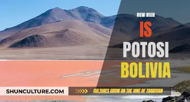 Exploring the Heights of Potosí, Bolivia's Mountainous City