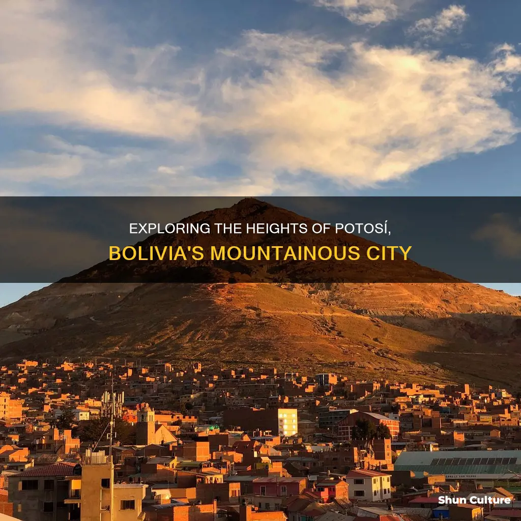 how high is potosi bolivia