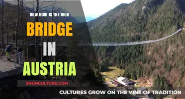 A Journey to the Top: Exploring Austria's High Bridge