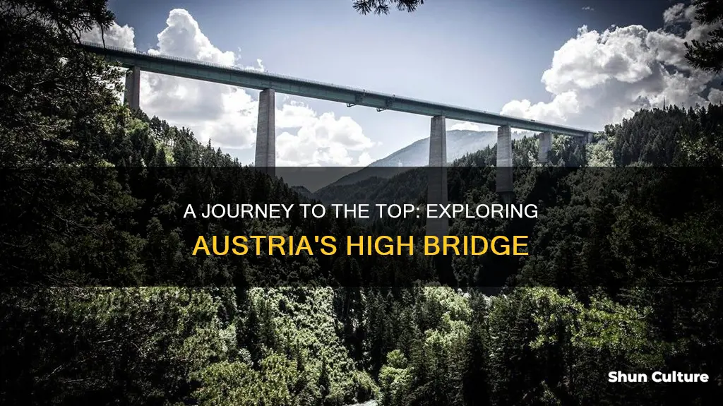 how high is the high bridge in austria