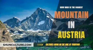 Summit Soaring: Austria's Majestic Mountain Peak