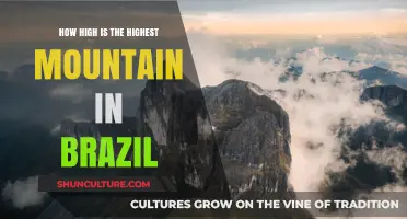 Discovering Brazil's Peak: The Height of Its Tallest Mountain