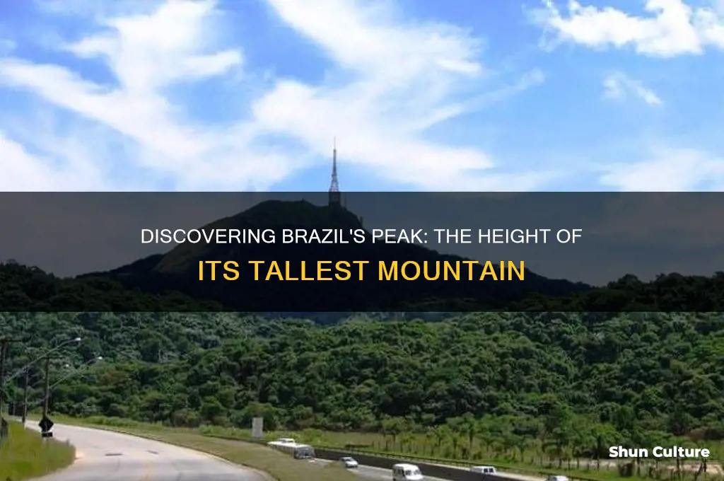 how high is the highest mountain in brazil
