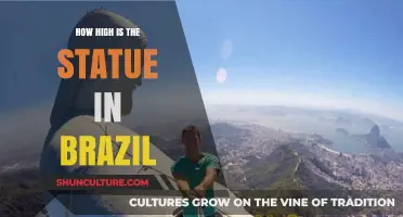 Discovering the Height of Brazil's Iconic Christ the Redeemer Statue