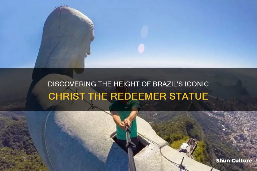how high is the statue in brazil