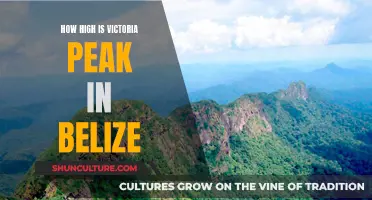 Victoria Peak's Soaring Heights in Belize