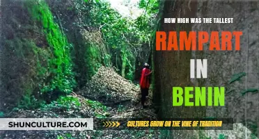 Exploring Benin's Ancient Fortifications: The Majestic Height of Its Tallest Rampart