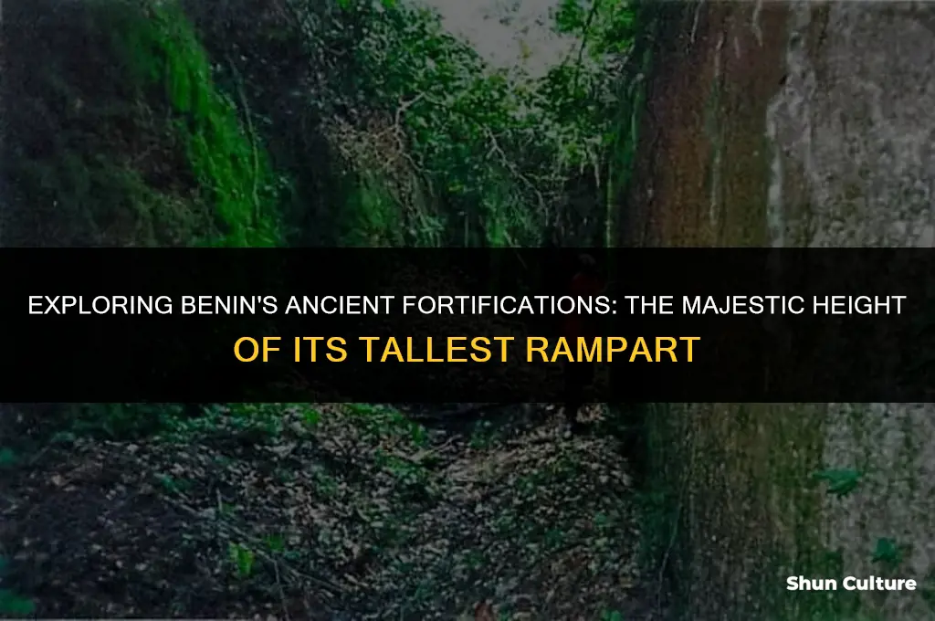 how high was the tallest rampart in benin