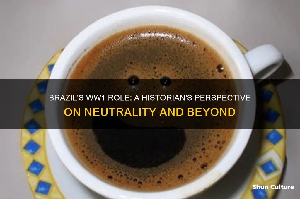 how historians view brazil actions during ww1