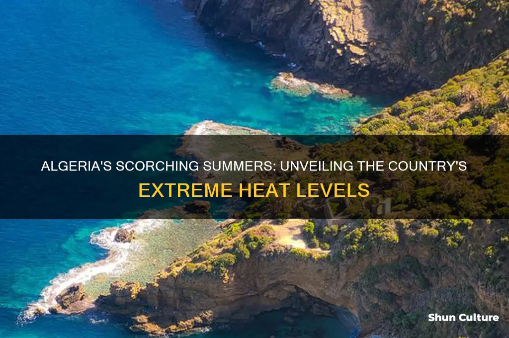 how hot does it get in algeria