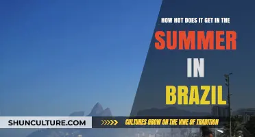 Brazil's Summer Heat: How Hot Does It Really Get?