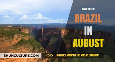 August Heat in Brazil: Temperatures, Climate, and Travel Tips