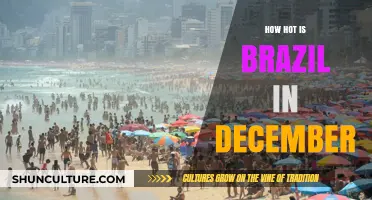 December Heat in Brazil: What to Expect and How to Prepare