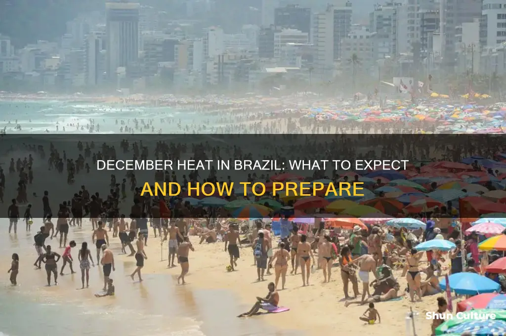 how hot is brazil in december