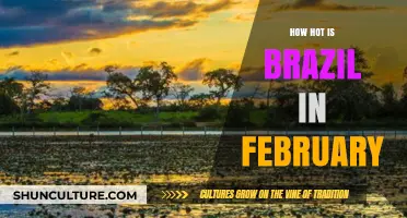 February in Brazil: Exploring the Country's Sizzling Summer Temperatures