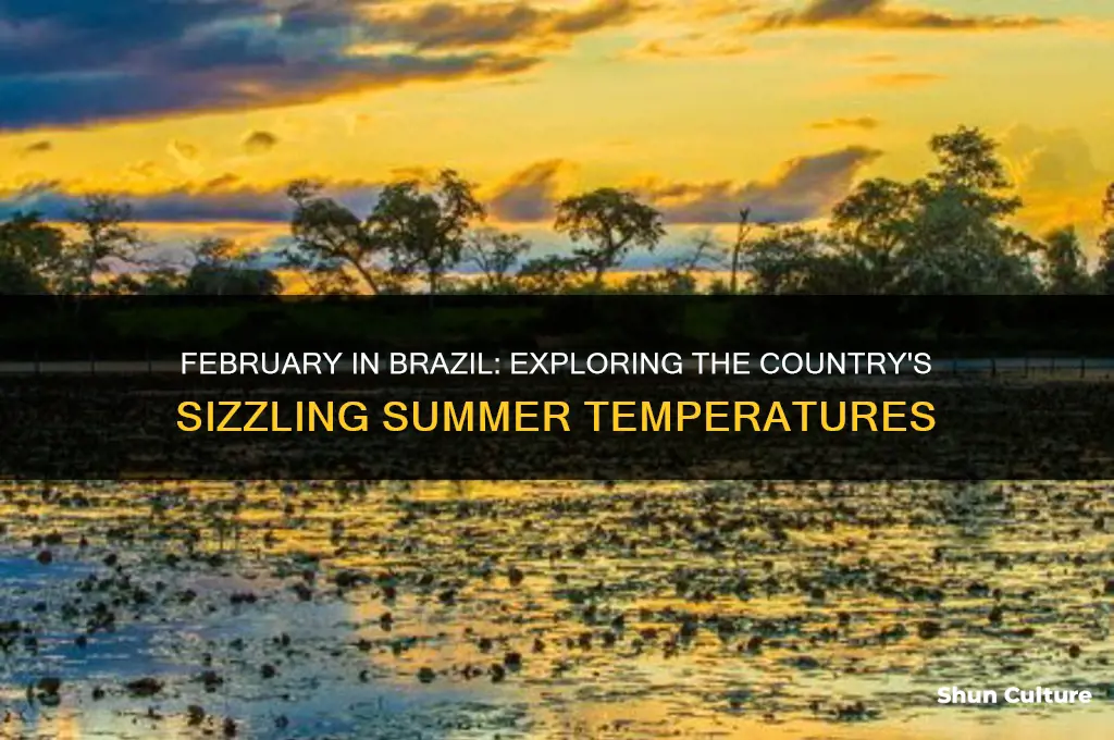 how hot is brazil in February