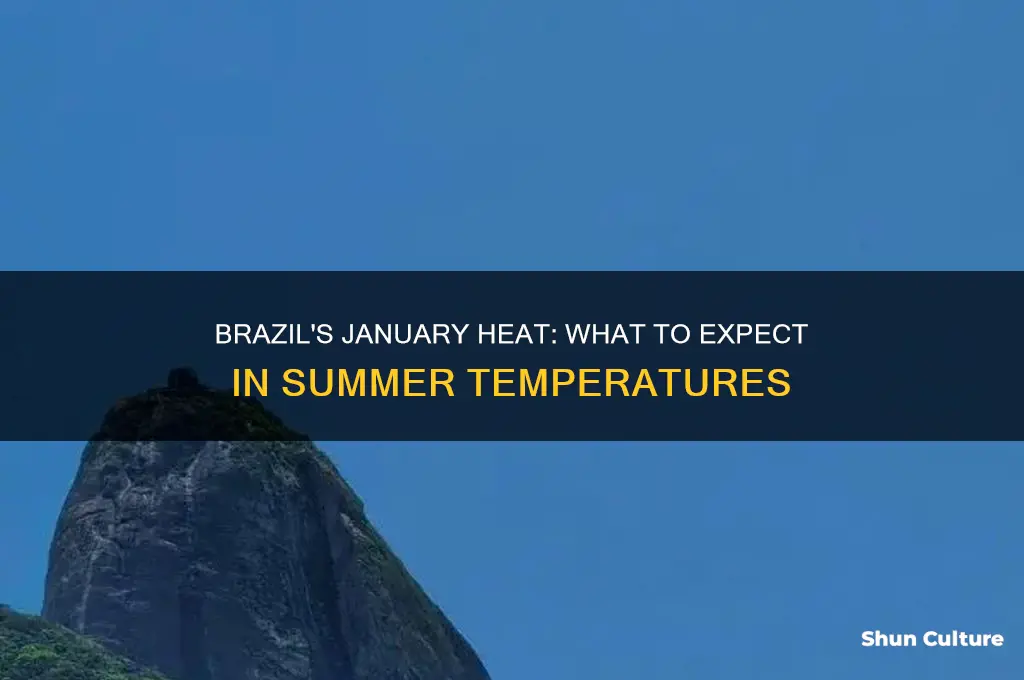 how hot is brazil in january