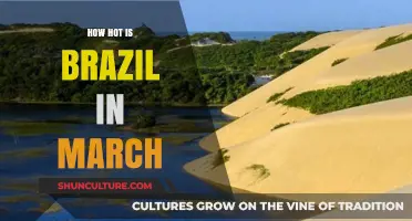 March in Brazil: Exploring the Warmth and Weather Patterns