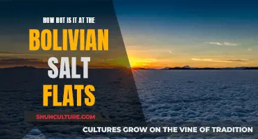 Exploring the Bolivian Salt Flats: A Scorching Adventure